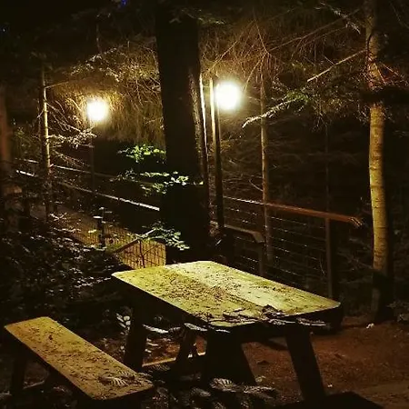 Poiana Bucovat Gura Humorului